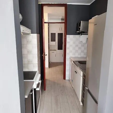 Dandelion Apartment Belgrade