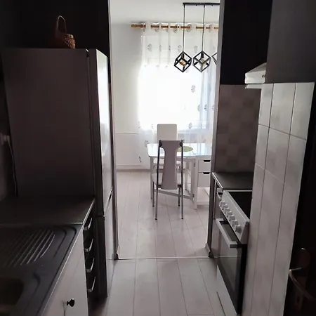 Dandelion Apartment